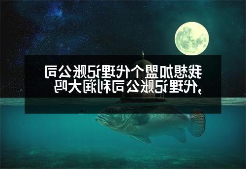 我想加盟个代理记账公司,代理记账公司利润大吗